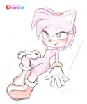  2019 absurd_res amy_rose anthro bedroom_eyes blush breasts clothing eulipotyphlan female footwear full-length_portrait gloves green_eyes hair handwear hark hedgehog hi_res looking_at_viewer mammal mostly_nude narrowed_eyes nipples open_mouth pink_body pink_hair portrait seductive shoes small_breasts solo sonic_the_hedgehog_(series) 