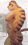  abs absurd_res anthro butt clothed clothing episode0006 felid fur hi_res jockstrap male mammal muscular muscular_anthro muscular_male nipples orange_body orange_fur pantherine pecs pink_nipples side_view solo striped_body striped_fur stripes tiger topless underwear whiskers 