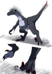 2020 3_toes ahastar ambiguous_gender anthro claws crush dinosaur dromaeosaurid duo feather_hair feathers foot_crush grey_body hi_res hypocrite_(artist) long_claws macro micro pseudo_hair red_claws reptile scalie simple_background theropod toes tongue tongue_out white_body wide_eyed 