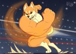  anthro black_eyes canid canine canis domestic_dog fight fight_of_animals fighting_ring frown fur male mammal meatboom muscular muscular_male orange_body orange_fur power_hook_dog punch shiba_inu spitz 