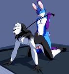  2019 absurd_res all_fours anthro black_collar black_leash bucklebunny collar collar_only doggystyle duo eyes_closed from_behind_position genitals hi_res holding_leash holding_object lagomorph leash leporid male male/male mammal nude penis pink_nose rabbit sex 