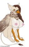  absurd_res avian big_breasts breasts busty_feral female feral gryphon hi_res mythological_avian mythology nude semi-anthro solo utouchmyweird 