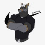  absurd_res anthro black_clothing black_eyebrows black_eyes black_nose black_shirt black_topwear bottomless canid canine canis chest_tuft clothed clothing crossed_arms domestic_dog eyebrows fur grey_body grey_fur hair half-length_portrait hi_res male mammal multicolored_body multicolored_fur muscular muscular_anthro muscular_male muskflask nike portrait pubes shirt shirt_only short_hair signature solo tongue tongue_out topwear topwear_only tuft waist_up white_body white_fur white_hair yellow_body yellow_fur 