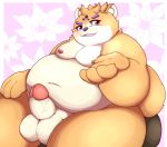  2020 anthro balls belly brown_body brown_fur butt canid canine erection fur genitals hi_res kemono kusosensei male mammal moobs nipples obese obese_anthro obese_male overweight overweight_anthro overweight_male penis sitting solo 