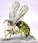  2011 accessory antennae_(anatomy) arthropod arthropod_abdomen bee breasts brown_hair butt dma exoskeleton female hair hair_accessory hairband hi_res human hymenopteran insect insect_wings looking_back mammal mid_transformation nipples nude open_mouth short_hair simple_background solo species_transformation stinger transformation white_background wings 