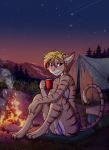  absurd_res animal_humanoid anthro barefoot bikini blue_eyes camping cat_humanoid claws clothing cup felid felid_humanoid feline feline_humanoid female fire forest freckles hair hi_res humanoid inner_ear_fluff looking_at_viewer mammal mammal_humanoid multi_tone_fur outside pink_nose shooting_star shuriko sitting smile solo solo_focus steam sunset swimwear tent tiger_stripes tree tuft 