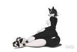  0v00w0_(artist) blue_eyes border_collie breasts butt canid canine canis chelana collie domestic_dog feet female genitals hair herding_dog hi_res lying mammal nipples nude pastoral_dog pawpads paws pussy shadow sheepdog simple_background solo 