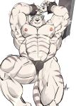  2020 abs anthro armpit_tuft beastmen biceps big_muscles black_jockstrap bracelet clothed clothing felid grimoire_of_zero hi_res huge_muscles jewelry looking_at_viewer male mammal mercenary_(character) muscular muscular_anthro muscular_male nipples pantherine pecs pink_nipples solo spiked_bracelet spikes stripes thymilph tiger underwear underwear_only white_body 