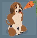  anthro beagle begging bulge canid canine canis clothed clothing domestic_dog duo hi_res hunting_dog kingparked male mammal scent_hound solo tongue tongue_out topless underwear 