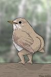  2020 absurd_res ambiguous_gender avian beak big_butt bird black_eyes blurred_background brown_beak brown_body brown_feathers butt crouching feathers feet feral grey_body grey_feathers hermit_thrush hi_res humanoid_feet log nude oscine passerine rear_view solo split_form thrush_(bird) tommy_siegel white_body white_feathers wood 