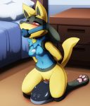  anthro ball_gag bdsm bedroom blush bodily_fluids bondage bound breasts chest_tuft clitoris collar collar_tag darkmirage detailed_background digitigrade drooling female front_view gag gagged genital_fluids genitals half-closed_eyes hands_behind_back hi_res inside invalid_tag kneeling looking_pleasured lucario masturbation narrowed_eyes nintendo nude on_ground pawpads paws penetration pok&eacute;mon pok&eacute;mon_(species) pussy pussy_juice red_eyes saliva sex_toy shiny_pok&eacute;mon small_breasts solo straddling sybian toying_self tuft vaginal vaginal_masturbation vaginal_penetration video_games 
