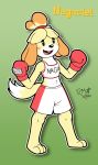  2019 animal_crossing anthro blush boxing_gloves canid canine canis clothed clothing domestic_dog female fur green_background hair handwear hi_res isabelle_(animal_crossing) mammal nintendo open_mouth richyminer shih_tzu simple_background smile solo standing teeth tongue toy_dog video_games yellow_body yellow_fur 