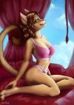  absurd_res abyssinian_cat anthro background_sky brown_hair clothing domestic_cat felid feline felis female green_eyes hair hi_res mammal pink_clothing pink_underwear saltand_(artist) solo underwear 