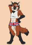  anthro canid canine clothing facial_piercing hand_behind_head hand_on_hip hi_res jax_(yeen.queen) male mammal maned_wolf nose_piercing nose_ring piercing rinkhet solo underwear 