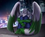  2020 4_toes 5_fingers amur anthro black_nose canid canine canis city detailed_background digital_media_(artwork) feathered_wings feathers fingers green_body green_feathers hybrid male mammal night outside sitting sky solo star starry_sky toes wings wolf 