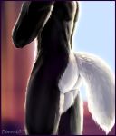  2019 anatomically_correct anthro athletic border butt canid canine canis dimonis fur hi_res male mammal morning muscular nude purple_border realistic solo sun watermark window wolf 