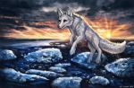  2020 ambiguous_gender brown_eyes canid canine canis day detailed_background digital_media_(artwork) feral flashw fur grey_body grey_fur mammal outside sky smile solo wolf 