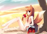  animal_ears apple barefoot breasts brown_hair day fang field food fruit holding holding_food holding_fruit holo long_hair nipples panties red_eyes shin_(new) sitting sky small_breasts solo spice_and_wolf tail topless underwear wolf_ears wolf_tail 