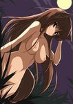  animal_ears breasts brown_eyes brown_hair grass holo large_breasts long_hair nipples nude shijou_sadafumi solo spice_and_wolf tail 