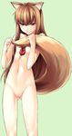  animal_ears flat_chest highres holo kusui_aruta long_hair nipples nude pussy solo spice_and_wolf tail wolf_ears 