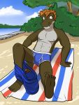  anthro anthrofied arm_support beach bottomwear briefs bulge clothed clothing fossil_pok&eacute;mon fuze hi_res male navel nintendo nipples on_towel outside pants_down partially_clothed pok&eacute;mon pok&eacute;mon_(species) reclining seaside shorts solo topless towel tyrunt underwear video_games 