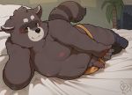  2020 absurd_res anthro bed belly blush brown_body brown_fur clothing detailed_background flaccid fur furniture genitals hi_res humanoid_hands inside kemono male mammal moobs nipples overweight overweight_anthro overweight_male penis piero03432812 procyonid raccoon solo underwear 