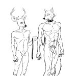  2020 abs absurd_res anthro antlers balls beastars black_and_white canid canine canis cervid collar duo ffog flaccid foreskin genitals hi_res horn humanoid_genitalia humanoid_penis leash legoshi_(beastars) looking_at_another louis_(beastars) male mammal monochrome muscular muscular_anthro muscular_male navel nude penis pubes simple_background standing uncut white_background wolf 