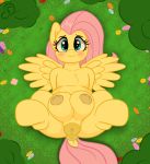  absurd_res anus areola big_teats blush cogsfixmore equid equine female feral fluttershy_(mlp) friendship_is_magic genitals hi_res lying mammal my_little_pony nipples on_back outside pegasus pussy solo teats thick_thighs wings 
