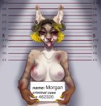  anthro black_eye_(injury) blep blood blood_on_face bodily_fluids bovid breasts bug_thief caprine domestic_cat ear_piercing ears_up english_text exposed_breasts facial_piercing felid feline felis female hi_res highlights_(coloring) horn hybrid jewelry lynx mammal morgan_(horncatte) mugshot necklace nose_piercing nosebleed piercing scratches solo text tongue tongue_out wounded 