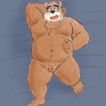  1:1 2020 anthro balls belly blush bodily_fluids eyewear flaccid genitals glasses hi_res humanoid_hands kemono lying male mammal micropenis navel overweight overweight_anthro overweight_male penis small_penis solo sweat tokyo_afterschool_summoners ursid video_games volos yaki_atsuage 