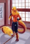  2019 absurd_res anatomically_correct anatomy anthro athletic battle bottomwear clothing digital_media_(artwork) dimonis dojo dragon fight fur hi_res male maundrill muscular shorts signature smile solo watermark 