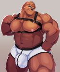  2020 anthro balls_outline barazoku black_nose brown_body brown_fur bulge clothing fur genital_outline hi_res humanoid_hands kemono male mammal matotoma moobs muscular muscular_anthro muscular_male nipples penis_outline solo underwear ursid 