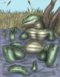  alligator alligatorid anthro belly crocodilian grass hi_res male nude partially_submerged reptile scalie slightly_chubby solo teeth water whimsicalsquirrel 