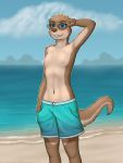  2020 3:4 anthro beach blue_clothing blue_eyes blue_swimwear blush breasts brown_body brown_fur brown_nose clothed clothing cloud countershade_fur countershading crossdressing eddiew eyebrows eyewear female fur hand_behind_head hi_res lutrine mammal multicolored_body multicolored_fur mustelid navel nipples outside seaside signature small_breasts smile solo sunglasses swimming_trunks swimwear tan_body tan_fur topless two_tone_body two_tone_fur water 