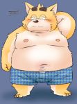  2020 anthro belly black_nose blush canid canine canis clothing domestic_dog kemono male mammal navel nipples overweight overweight_anthro overweight_male simple_background solo toshi_(artist) underwear 