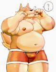  2020 anthro belly blush brown_body brown_fur bulge canid canine canis clothing domestic_dog eyes_closed fur japanese_text kemono male mammal meg_hoi moobs navel nipples overweight overweight_anthro overweight_male solo text underwear 