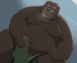  2020 anthro belly brown_body brown_fur bulge clothed clothing erection erection_under_clothing fur genital_outline hi_res kemono kwzu male mammal masturbation moobs overweight overweight_anthro overweight_male penis_outline solo ursid 