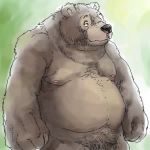  1:1 2006 anthro belly black_nose brown_body brown_fur fur kemono low_res male mammal nipples overweight overweight_male unknown_artist ursid 
