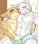  2006 anthro barazoku brown_body brown_fur canid canine canis clothing domestic_dog eyes_closed fur hug humanoid_hands inside kemono low_res male male/male mammal muscular muscular_male s_h_o underwear 