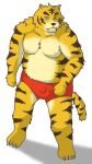  2006 anthro bulge clothing cute_fangs felid fur kemono low_res male mammal nipples pantherine simple_background slightly_chubby solo tiger underwear unknown_artist yellow_body yellow_fur 