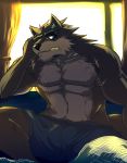  2006 anthro bed bedding black_body black_fur blanket canid canine clothing fur furniture humanoid_hands inside kemono low_res male mammal muscular muscular_male sitting underwear unknown_artist 