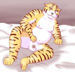  2006 anthro balls belly felid fur genitals kemono lako low_res male mammal micropenis nipples overweight overweight_male pantherine penis sitting small_penis tiger white_body white_fur yellow_body yellow_fur 