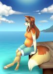  anthro belly big_belly canid canine canis clothing cloud day domestic_dog ear_piercing ear_ring female hi_res mammal pier piercing pregnant pregoo sky solo 