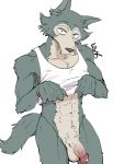  2020 3:4 abs anthro balls beastars bottomless canid canine canis clothed clothing clothing_lift crotch_tuft flaccid front_view fur genitals glans grey_body grey_fur hi_res humanoid_genitalia humanoid_penis legoshi_(beastars) looking_at_viewer male mammal muscular muscular_anthro muscular_male pecs penis portrait shirako shirt shirt_lift solo tank_top three-quarter_portrait topwear tuft wolf 