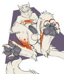  2019 4_toes abstract_background anthro balls black_pawpads black_penis blush erection fur genitals green_sclera hindpaw humanoid_genitalia humanoid_penis looking_at_viewer lying male markings on_back orange_markings pawpads paws penis sergal solo squeakcore toes white_body white_fur 