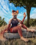  4:5 4_toes 5_fingers anthro breasts clothed clothing collar day detailed_background domestic_cat eyewear felid feline felis female fingers glasses grass hi_res kebi mammal outside sky smile solo toes tree 