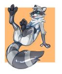  2020 absurd_res animate_inanimate anthro butt digital_drawing_(artwork) digital_media_(artwork) featureless_crotch gamblepaws glistening hi_res hypnosis inflatable living_inflatable living_pooltoy male mammal mind_control nonbinary_(lore) nozzle pawpads pool_toy procyonid raccoon reclining ringed_eyes robin_(gamblepaws) rubber simple_background solo tag tongue tongue_out 