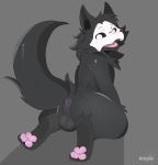  anthro anus balls black_body black_fur canid canine canis changed_(video_game) fur genitals hi_res kitorie looking_at_viewer looking_back male mammal mask pawpads puro_(changed) raised_tail simple_background solo 