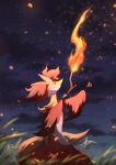  absurdres cloud commentary_request delphox eyelashes fire from_below from_side fur furry gen_6_pokemon grass hands_up highres holding holding_stick kisa_(kisa-kisa5900) looking_up night outdoors pokemon pokemon_(creature) sky solo standing star_(sky) stick 