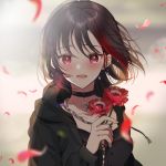  1girl bang_dream! black_hair blush flower holding holding_flower looking_at_viewer mitake_ran mizukikushou multicolored_hair open_mouth petals red_eyes red_hair short_hair solo streaked_hair upper_body 